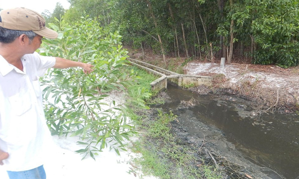 Nhà máy tinh bột sắn Thừa Thiên Huế sai phạm khi xả thải ra môi trường